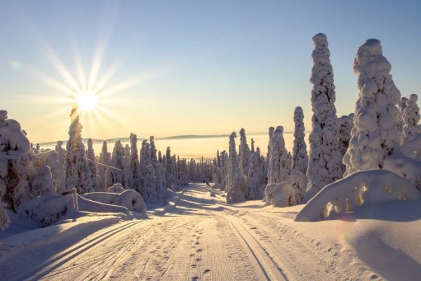 Как отправлять фото на кракен с айфона