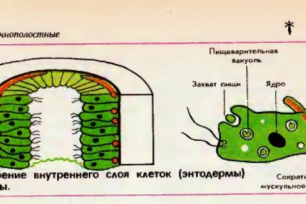 Как купить на блэкспрут первый раз пошагово